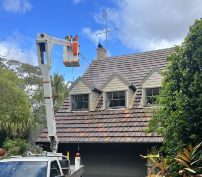 Roof Restoration